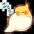 Bird Zzz