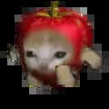 apple kitty