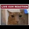 Live Cuh Reaction