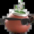 Mate in sunglasses