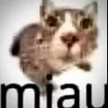 miau