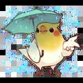 Bird Rain