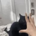 hand attack