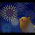 Bird Fireworks