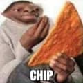 chip