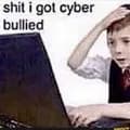 Cyber bully