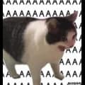 AAAAAAAAAAAAAAAAAAAAAAAAA