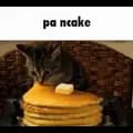 pa ncakes