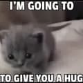 I'm going to give you a hug